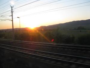 IMG 0479