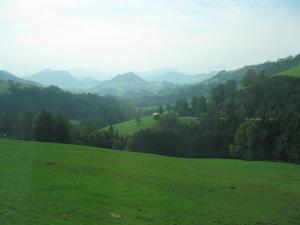 IMG 0981